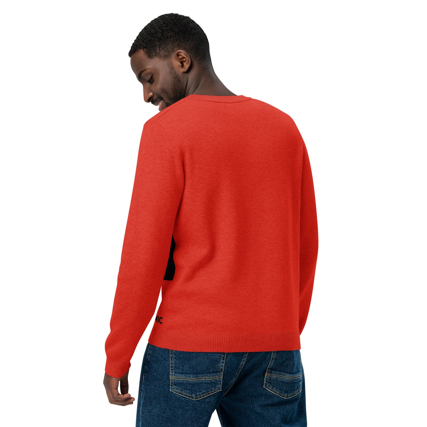 Back View Race Car Sparking – Knitted Crew Neck Sweater